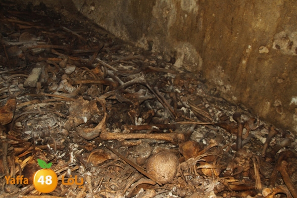 mdafenkazakhana512 (1).jpg